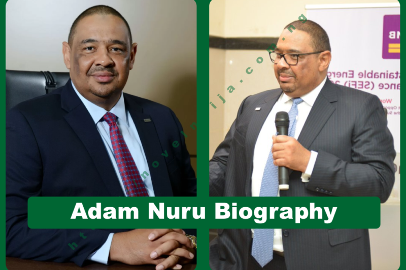 Adam Nuru Biography: FCMB Career, Controversy & Net Worth