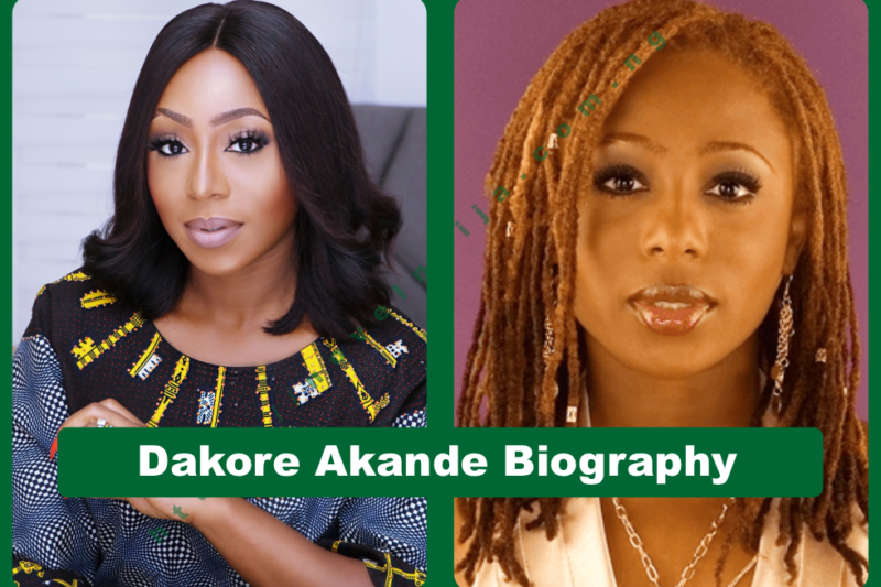 Dakore Akande Biography: Age, Movies, Husband & Net Worth