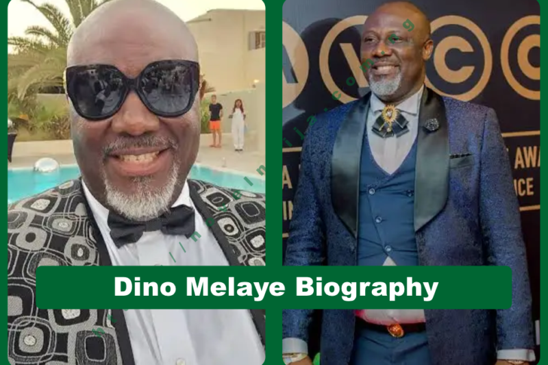 Dino Melaye Biography: Nigerian Senator, Politician & Activist