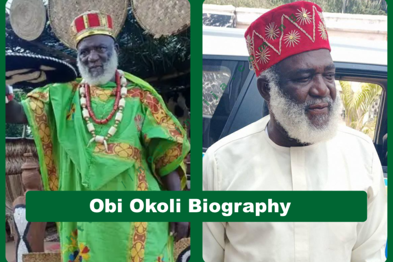 Obi Okoli Biography: Age, Wife, Movies & Career, Nollywood Icon