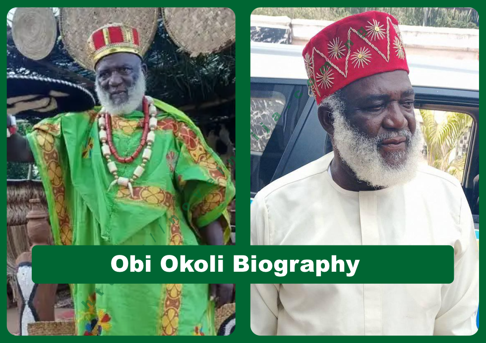 Obi Okoli Biography