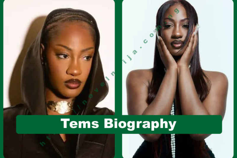 Tems Biography: Grammy Winner, Net Worth & Music Career