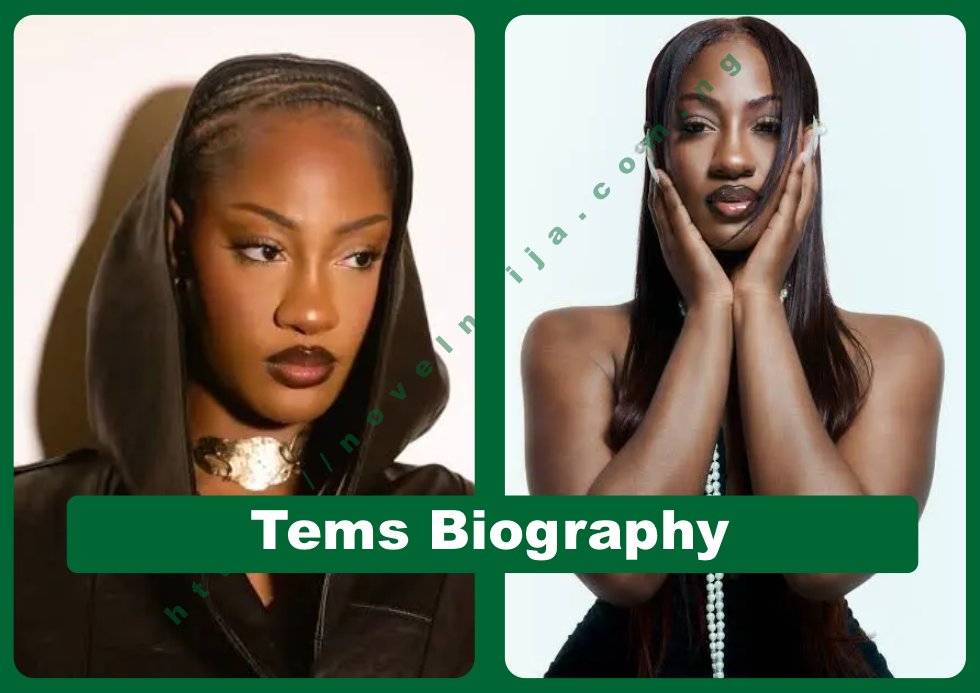 Tems Biography